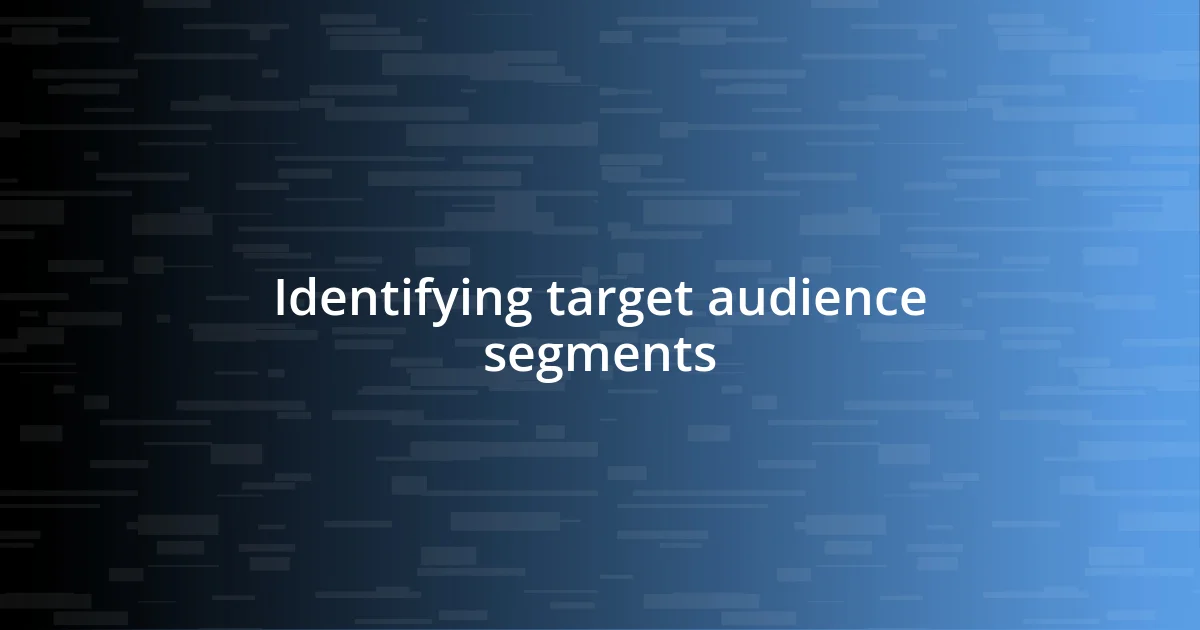 Identifying target audience segments